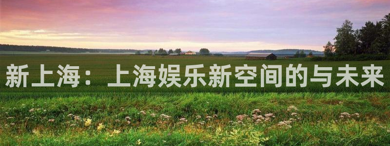 好彩运2代理注册：新上海：上海娱乐新空间的与未来