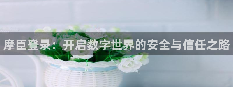 好彩运体育注册登录入口：摩臣登录：开启数字世界的安全与信任之路