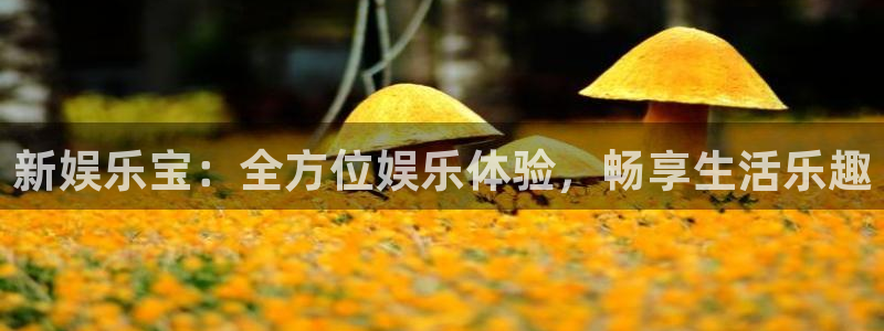好彩运代理注册官网入口：新娱乐宝：全方位娱乐体验，畅享生活乐趣