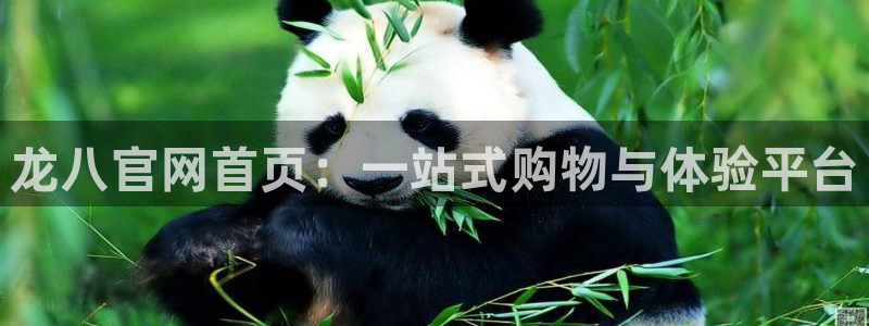 好彩运体育热门赛事有哪些：龙八官网首页：一站式购物与体验平台