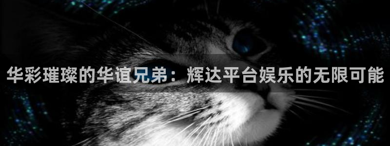 好彩运平台：华彩璀璨的华谊兄弟：辉达平台娱乐的无限可能