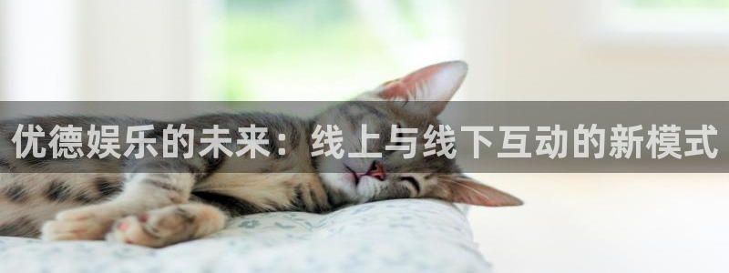 好彩运3注册：优德娱乐的未来：线上与线下互动的新模式