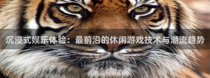 好彩运零能源集团：沉浸式娱乐体验：最前沿的休闲游戏技术与潮流趋势