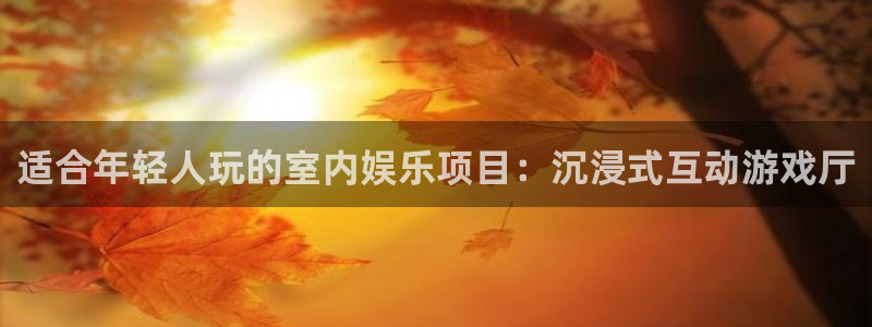 好彩运体育注册代理：适合年轻人玩的室内娱乐项目：沉浸式互动游戏厅
