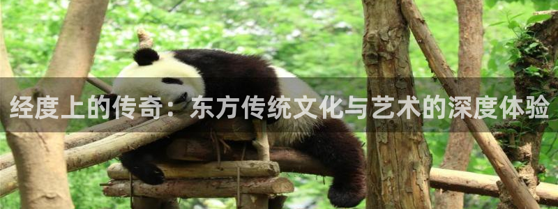 好彩运代理：经度上的传奇：东方传统文化与艺术的深度体验