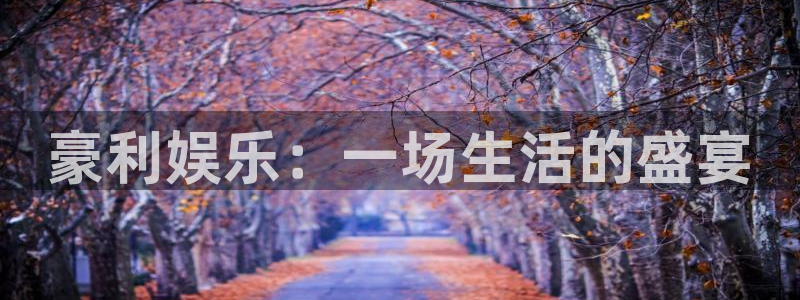 好彩运f凯捷注册：豪利娱乐：一场生活的盛宴