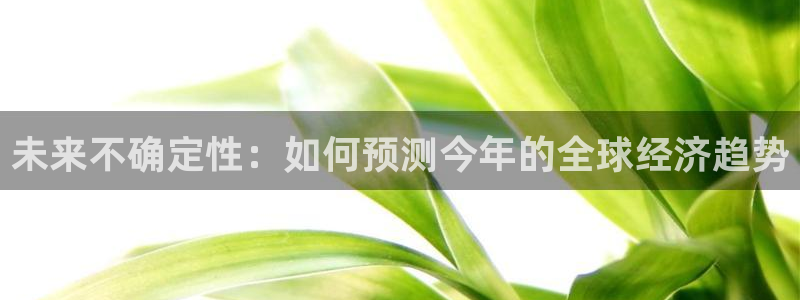好彩运2登录地址：未来不确定性：如何预测今年的全球经济趋势