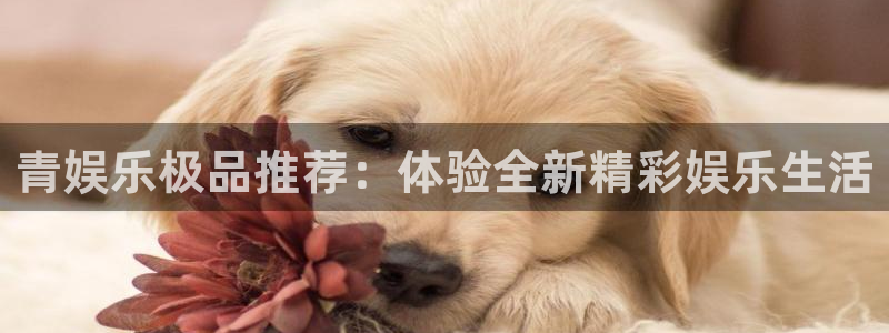 好彩运3注册：青娱乐极品推荐：体验全新精彩娱乐生活