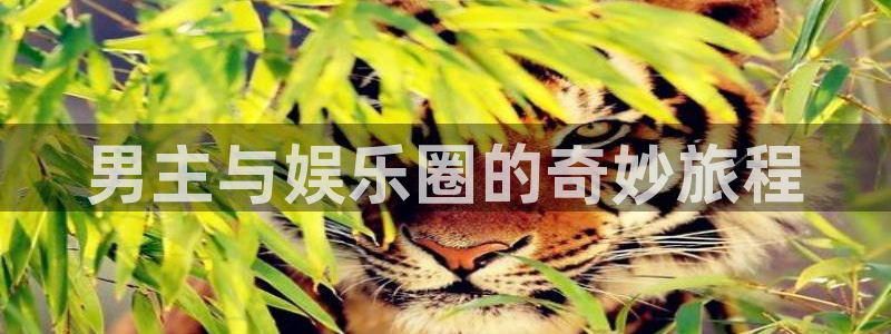 好彩运平台在线开户：男主与娱乐圈的奇妙旅程