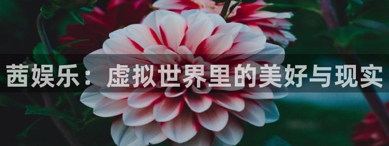 好彩运2体育：茜娱乐：虚拟世界里的美好与现实