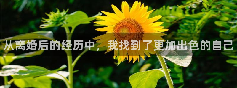 好彩运3代理：从离婚后的经历中，我找到了更加出色的自己