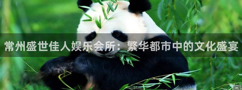 好彩运能源：常州盛世佳人娱乐会所：繁华都市中的文化盛宴