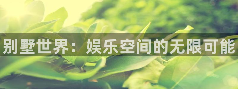 好彩运4登录：别墅世界：娱乐空间的无限可能