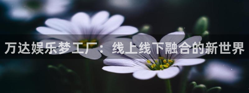 好彩运3官网登录：万达娱乐梦工厂：线上线下融合的新世界