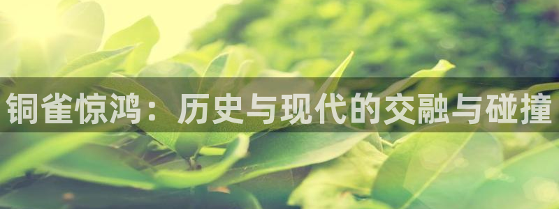 好彩运5招商：铜雀惊鸿：历史与现代的交融与碰撞