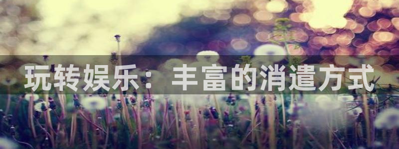 好彩运体育4：玩转娱乐：丰富的消遣方式