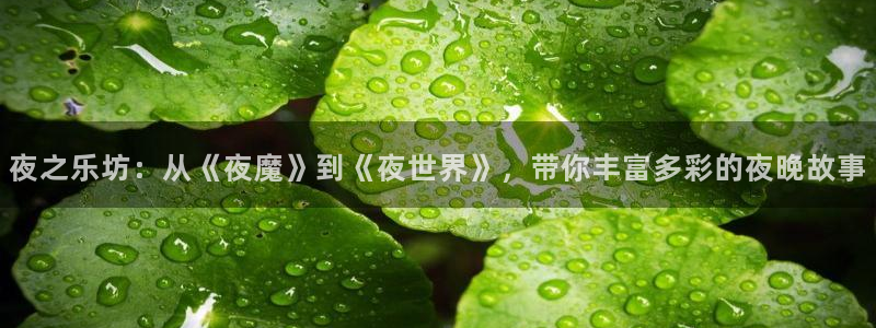 好彩运招商：夜之乐坊：从《夜魔》到《夜世界》，带你丰富多彩的夜晚故事